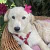 Cloe