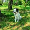 Laiko -PLZ 47239 Duisburg