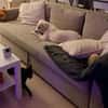 Beto, sensibler Welpe sucht Zuhause