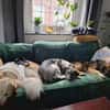Pino - ist offen und interessiert