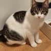 Tiny, lebenslustiger Herzensbrecher, 9M