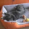 Mocca unsere Seniorin