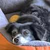 Mocca unsere Seniorin