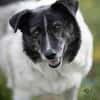 Ginny sucht ihre Familie
