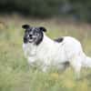 Ginny sucht ihre Familie