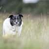 Ginny sucht ihre Familie