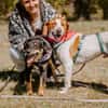 Hugo - sanfter Junghund sucht Zuhause