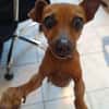 Roxy la mamaie coquine