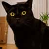Salem