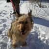Betty sucht ihr liebevolles Zuhause