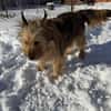 Betty sucht ihr liebevolles Zuhause