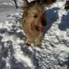 Betty sucht ihr liebevolles Zuhause