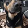 Maylo sucht dringend einen neuen Platz