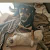 Maylo sucht dringend einen neuen Platz