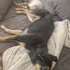 Maylo sucht dringend einen neuen Platz
