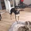 Maylo sucht dringend einen neuen Platz