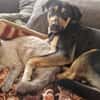 Maylo sucht dringend einen neuen Platz