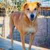 Senior Alfi sucht Seniorenplatz