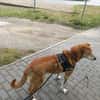 Senior Alfi sucht Seniorenplatz
