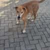 Senior Alfi sucht Seniorenplatz