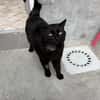 SALEM