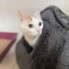 LADY A17406