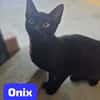 ONIX