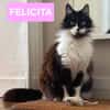FÉLICITA