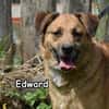 EDWARD