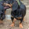 Molly sucht nach Liebe