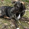 Monty ein ganz liebes Kerlchen