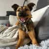 Selma sucht ein ruhiges Zuhause