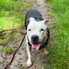 LILAS EN SOS URGENT