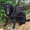 KARAM sucht Familienanschluss