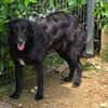 KARAM sucht Familienanschluss