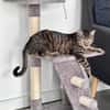 Junger Kater PEPPER sucht sein Zuhause!
