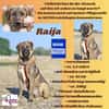 Die liebe 💕Raija 💕sucht ihre Menschen