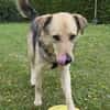 Feiner ♥Flinn♥ wartet in 65191 Wiesbaden