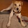 LOVELYN -sucht erfahrene Menschen-