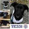 TESSI * taffe Mädchen kommen überall hin