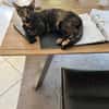 💕Isabell💕 sucht ihre Menschen