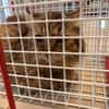 MIROSLAV