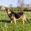 Mimi - 76189 Karlsruhe
