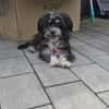 Paula , kleine Prinzessin