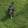 Paula , kleine Prinzessin