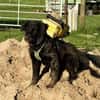 Zoe sucht ein liebevolles Zuhause