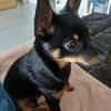 Luna sucht Neustart