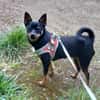Luna sucht Neustart