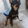 Luna sucht Neustart