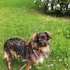Cinderella - kleine Prinzessin